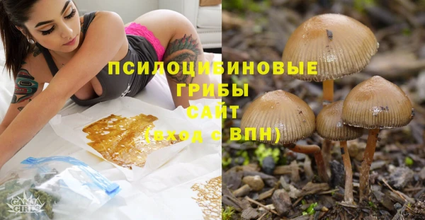 a pvp Белокуриха