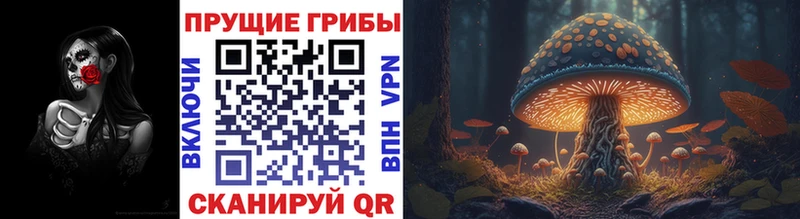 как найти закладки  Харабали  маркетплейс формула  Псилоцибиновые грибы GOLDEN TEACHER 